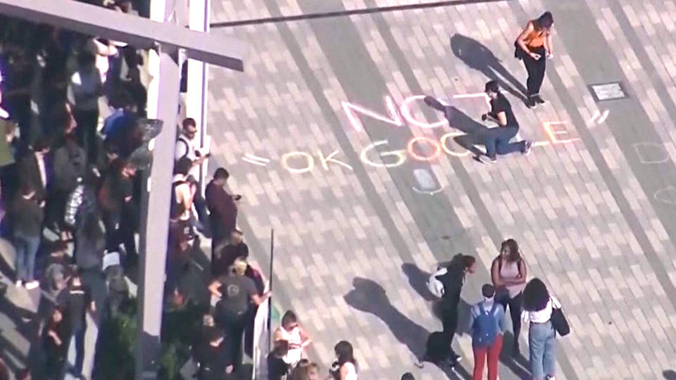 H13 google walkout