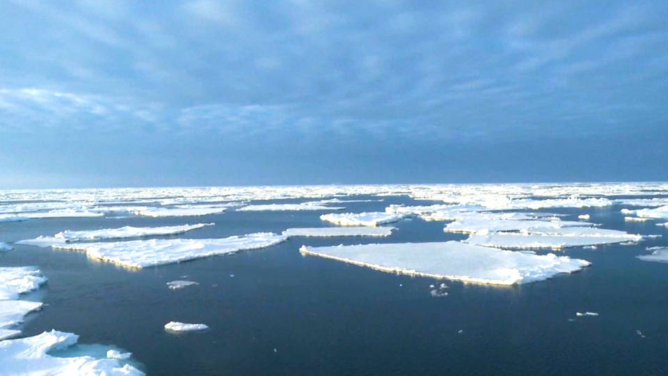 H7 arctic warming