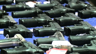 Hdlns11 wvguns