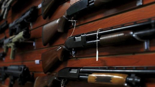 Hdls2 courtdvguns