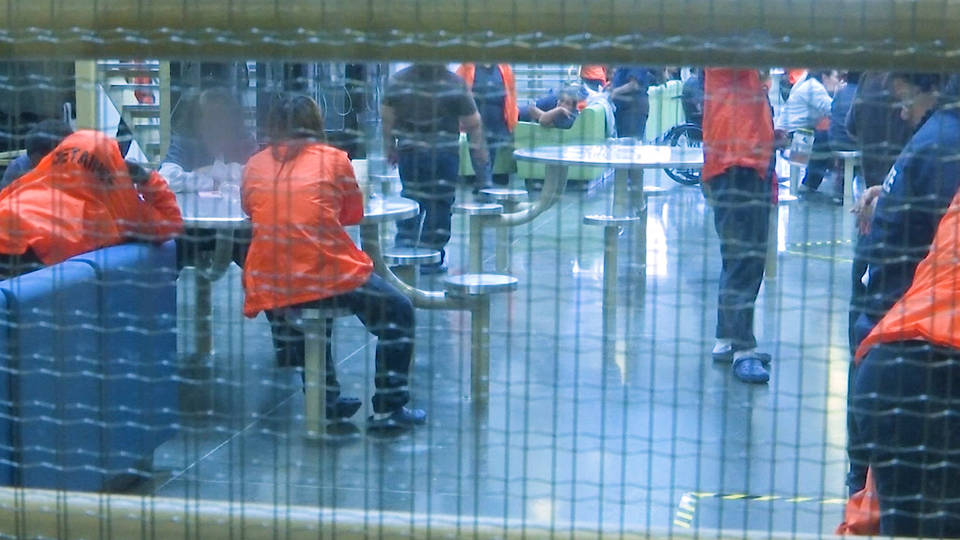 H7 advocates afraid deadly coronavirus outbreak immigration jails plagued by medical neglect