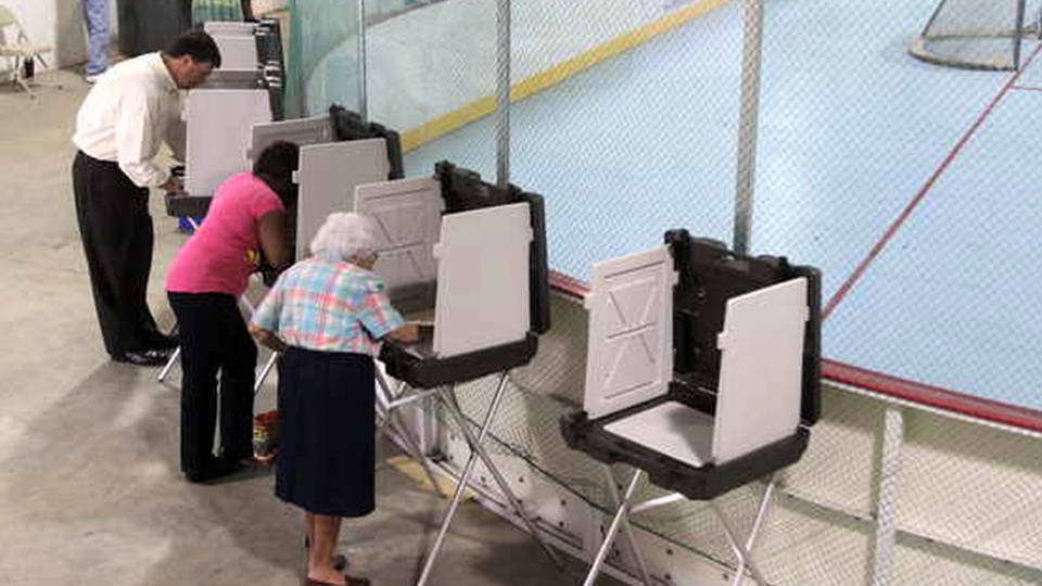 H13 voting