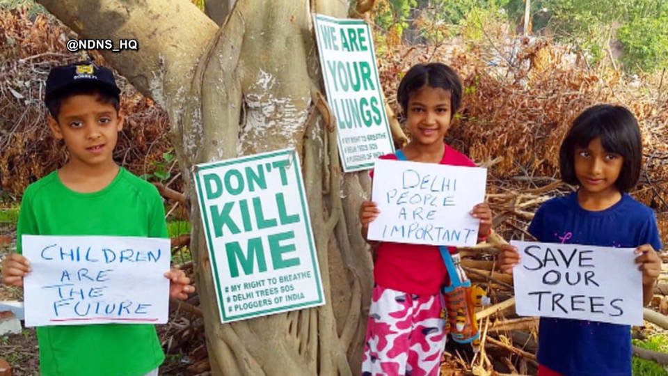 H10 india saves the trees