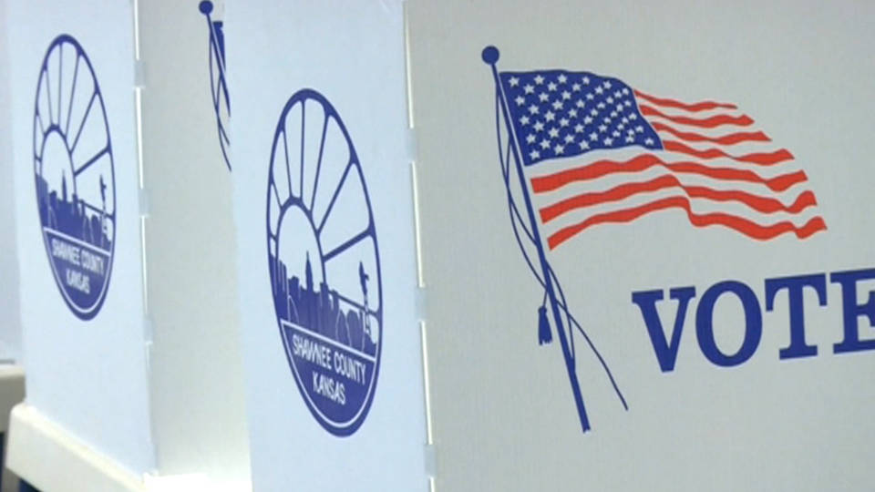 H11 texas voting