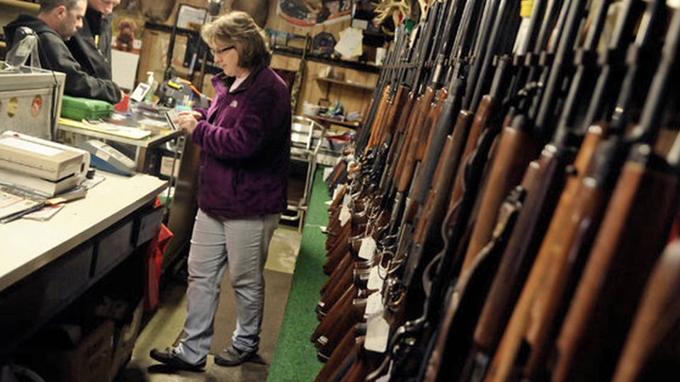 what committee deals with gun control