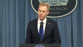 H1 stranahan defense secretary resigns domestic violence