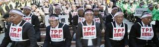 Tpp japan
