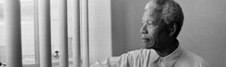 Mandelacell1994