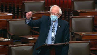 SEG1-Bernie-1.jpg