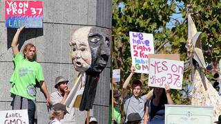 Prop 37 protests