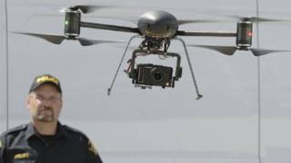Domestic drones