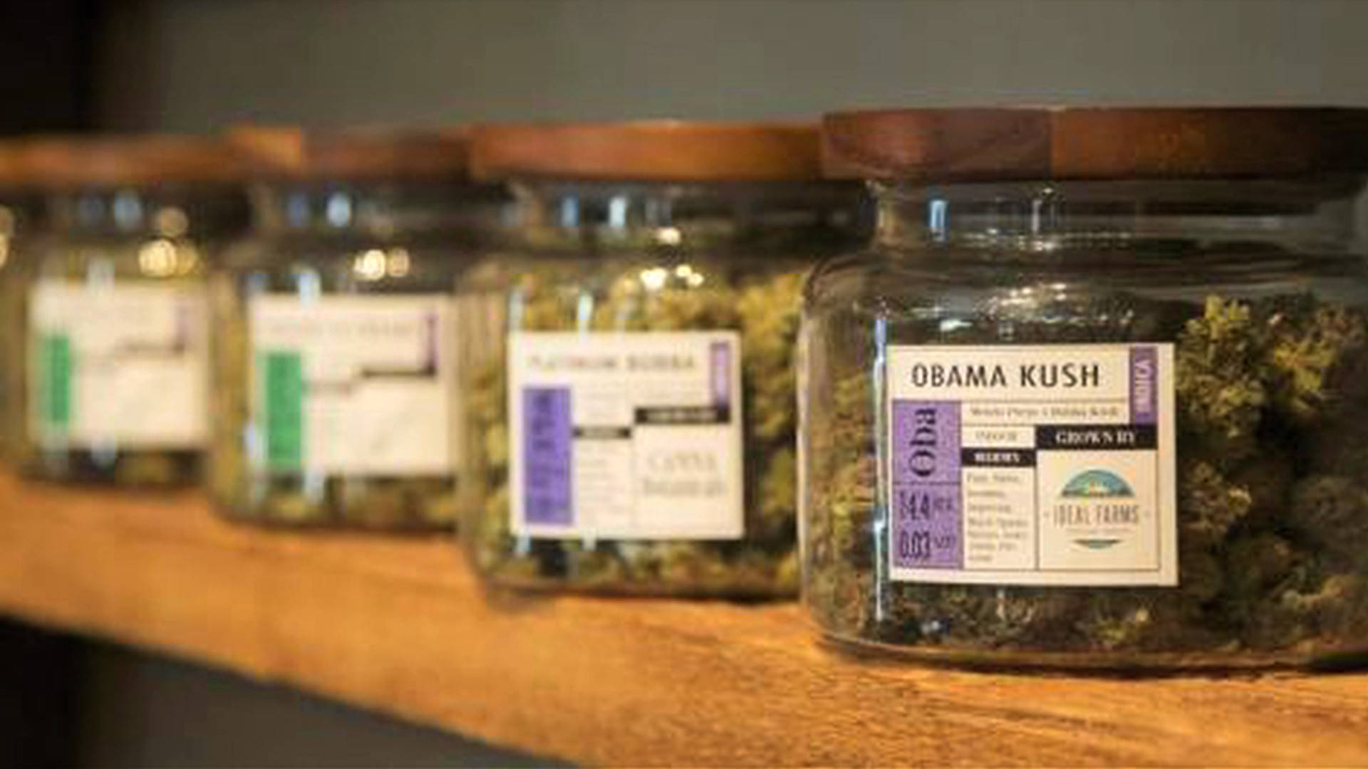 Colorado's First Black Woman Pot Entrepreneur on Edibles, Incarceration & the Industry's Whiteness - Democracy Now!