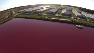 S4_Hog_Farm_Aerial.jpg