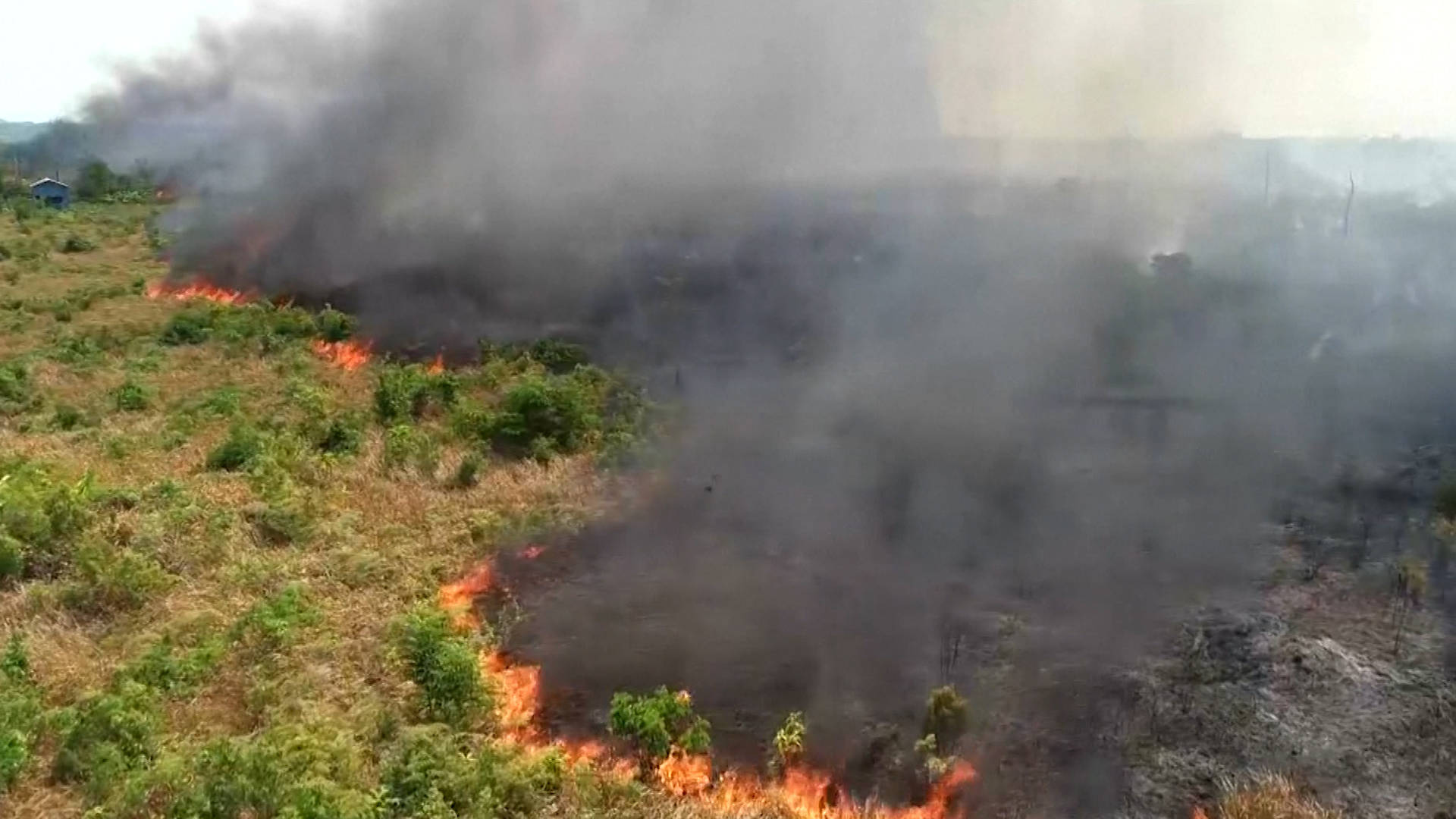 Fire on the amazon 93 го. Fire on the amazon.