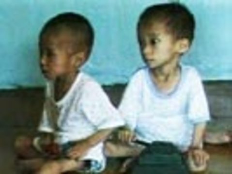 Poverty north korea
