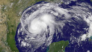 H01_Harvey.jpg