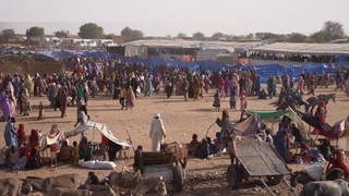 "Rampage of Killings, Looting, Torture, Rape": Ethnic Cleansing in Sudan's Darfur Region