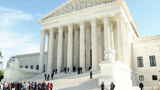 Seg1 scotus
