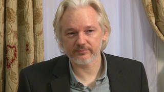 Seg1 assange