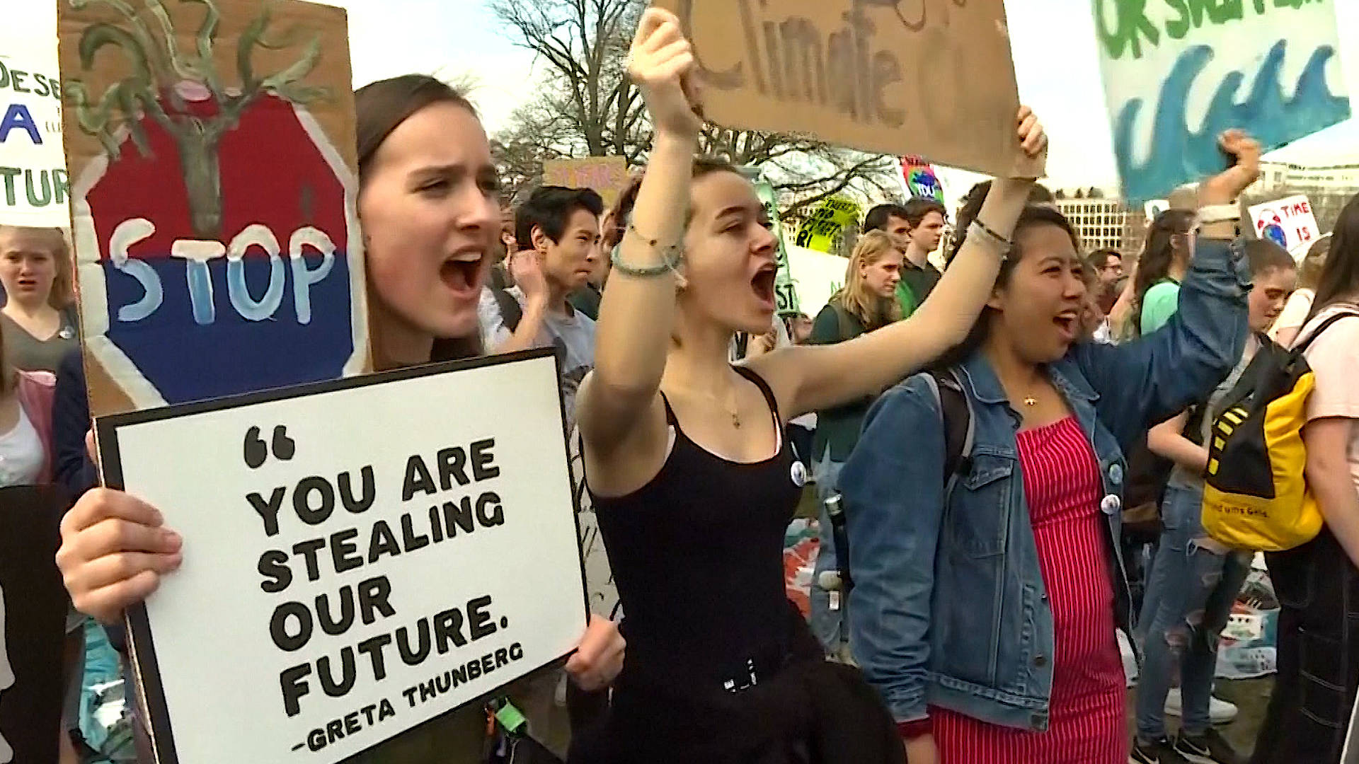 Ok, doomer: el movimiento de jóvenes activistas contra los catastrofistas