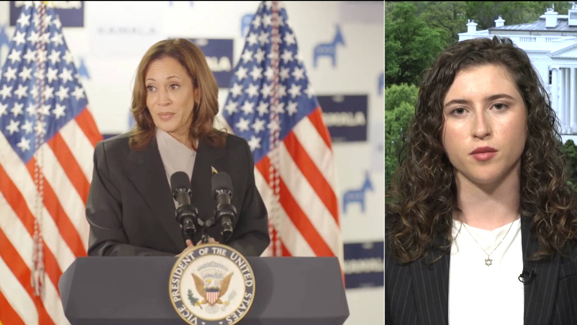 Ex-Biden Staffer Who Quit over Gaza Says Kamala Harris Must “Chart a