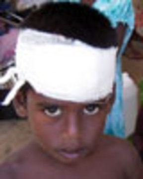 Sri lanka web