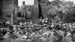 Armenian genocide deaths sheyxalan