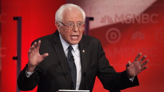 Bernie