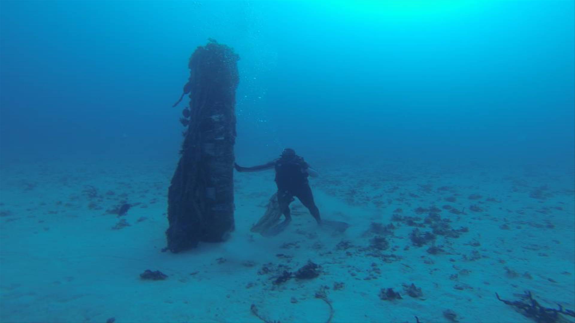 Punishing Vieques Puerto Rico Struggles With Contamination 10 Years