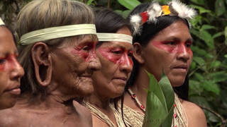 SEG3-Ecuador-Amazon-Indigenous.jpg