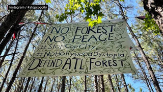 Seg4 forest defenders