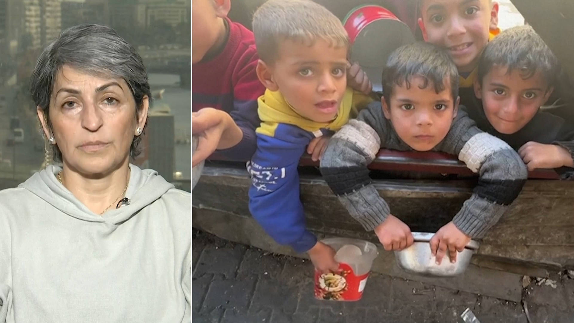 What I Witnessed in Gaza Is a Holocaust: Palestinian Writer Susan Abulhawa
