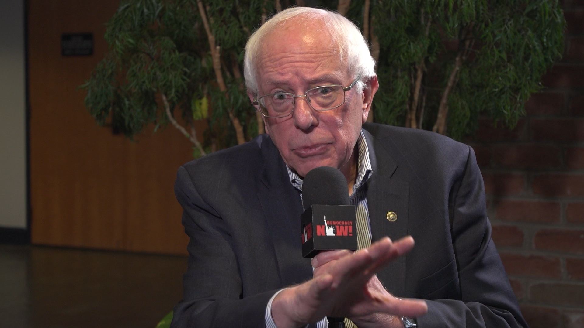 Seg bernie intv looking