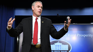 Seg-Zinke-Solo.jpg