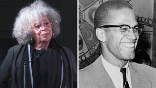 Seg1 angeladavis malcolmx 2