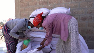 Seg1 ukr africa grains 1