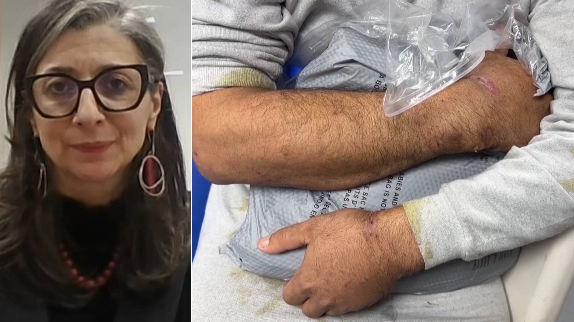“Torture & Genocide”: U.N. Expert Francesca Albanese Denounces Israeli Abuse of Palestinians