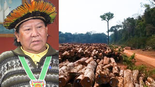 SEG2-DaviKopenawa.jpg