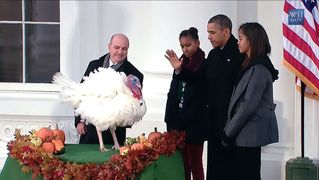 Obama turkey pardon