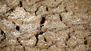 SEG2-Climate-2.jpg