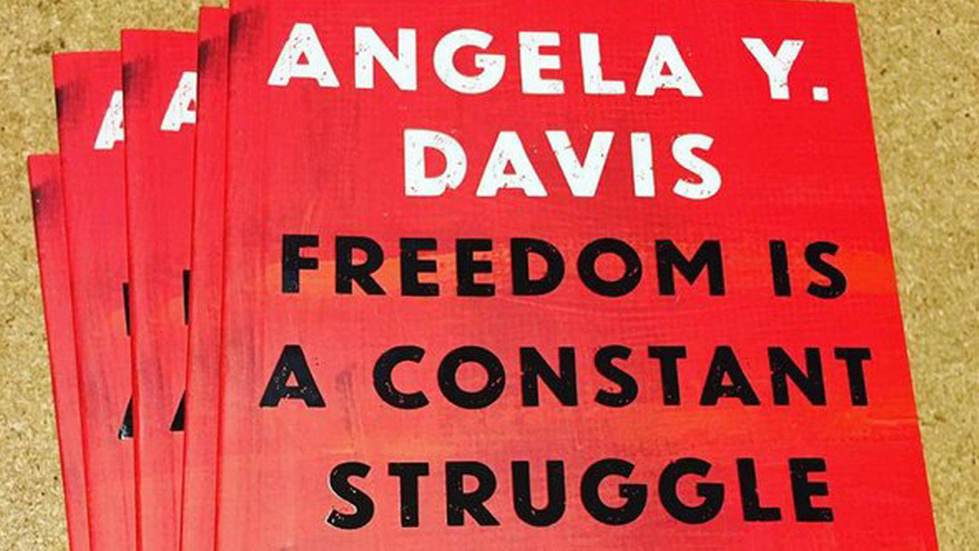 Freedom Is a Constant Struggle Angela Davis on Ferguson, Palestine & the Foundations of a