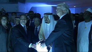 Seg orb