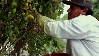 2014 1121 seg3 farmworkers 4