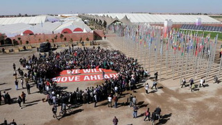 S5 climate greenpeace cop22