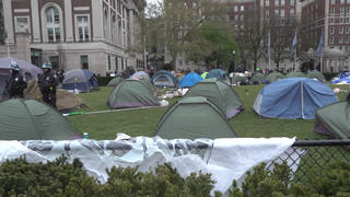 Over 100 Arrested at Columbia After Univ. President Orders NYPD to Clear Pro-Palestine Student Protest