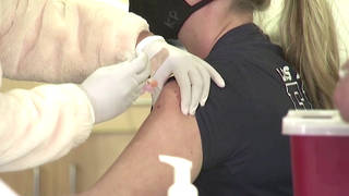 Seg3 vaccine jab