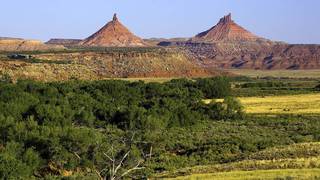 s2 bears ears4