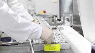 Seg2 vaccine 31