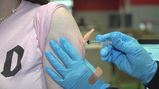 Seg3 covid vaccine 3
