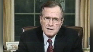 Seg bush 1